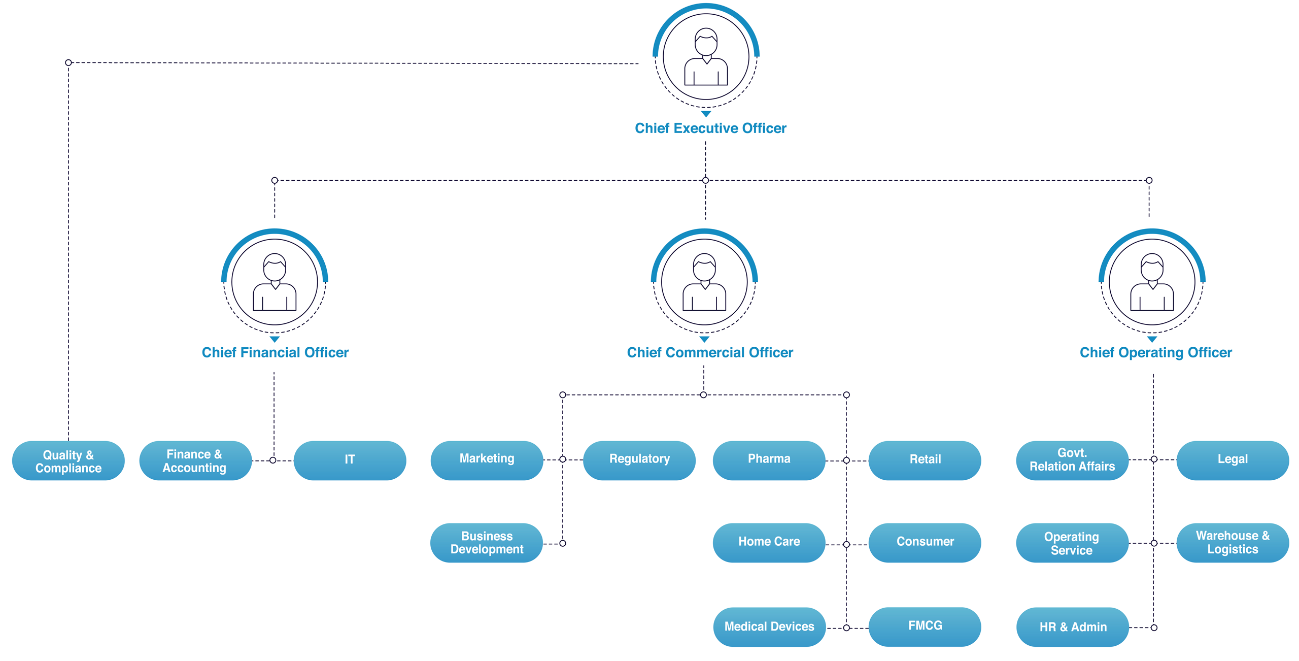 Alghanim Healthcare Organization Chart